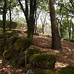 Oak Hill Geres, Portugal *