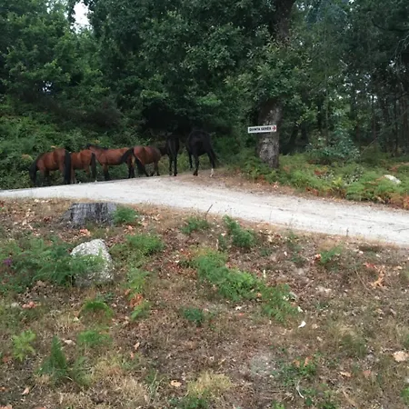 Quinta Geres