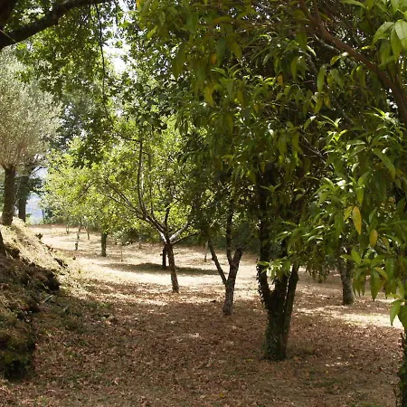 Quinta Geres Aldeamento Turístico