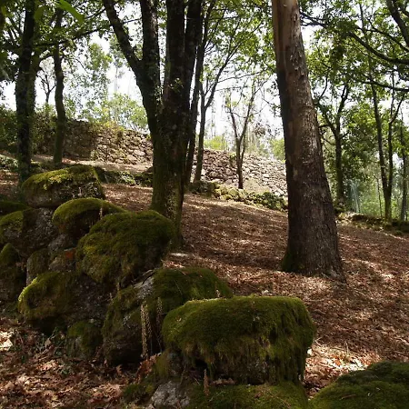 Oak Hill Geres, Portugal *