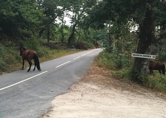 Oak Hill Gerês, Portugal * Terras de Bouro